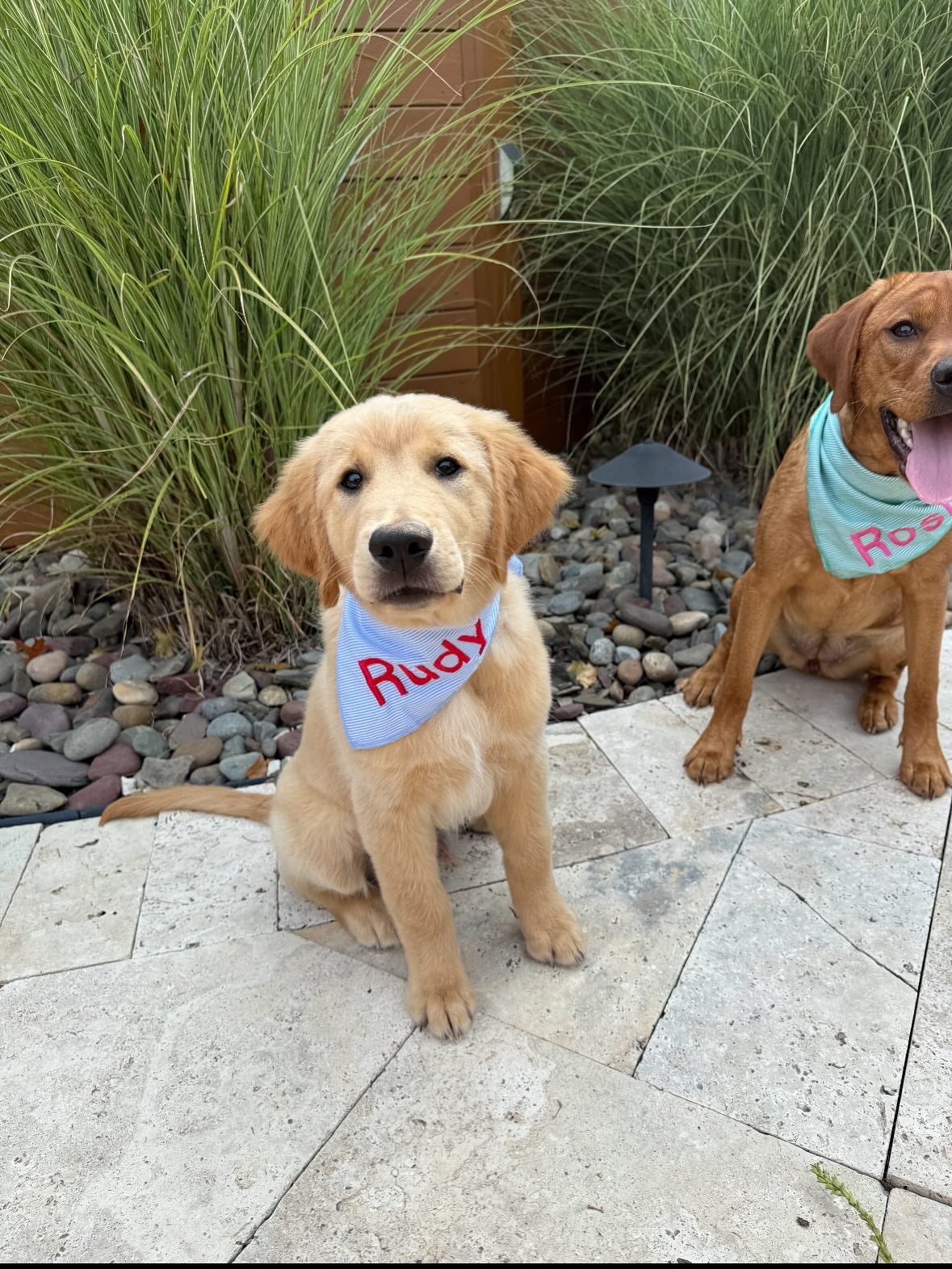 Personalized Soft, Charming Dog Bandanas