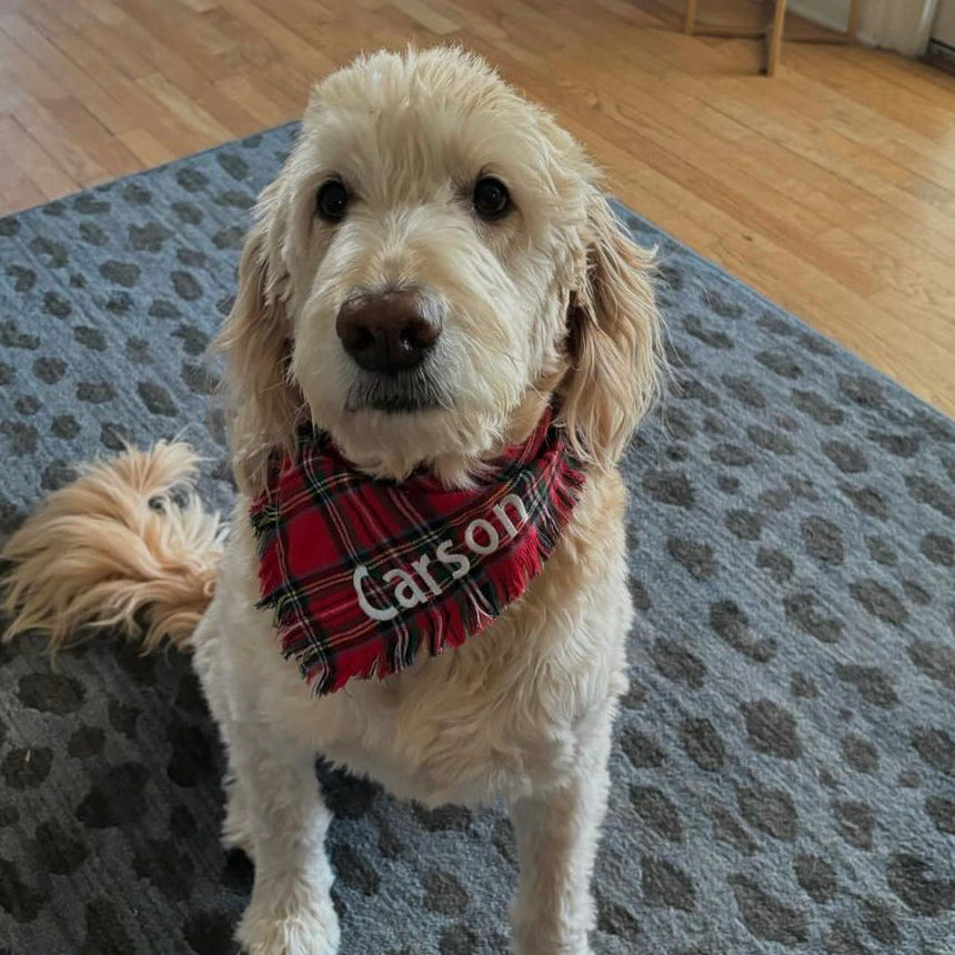 Personalized Soft, Charming Dog Bandanas