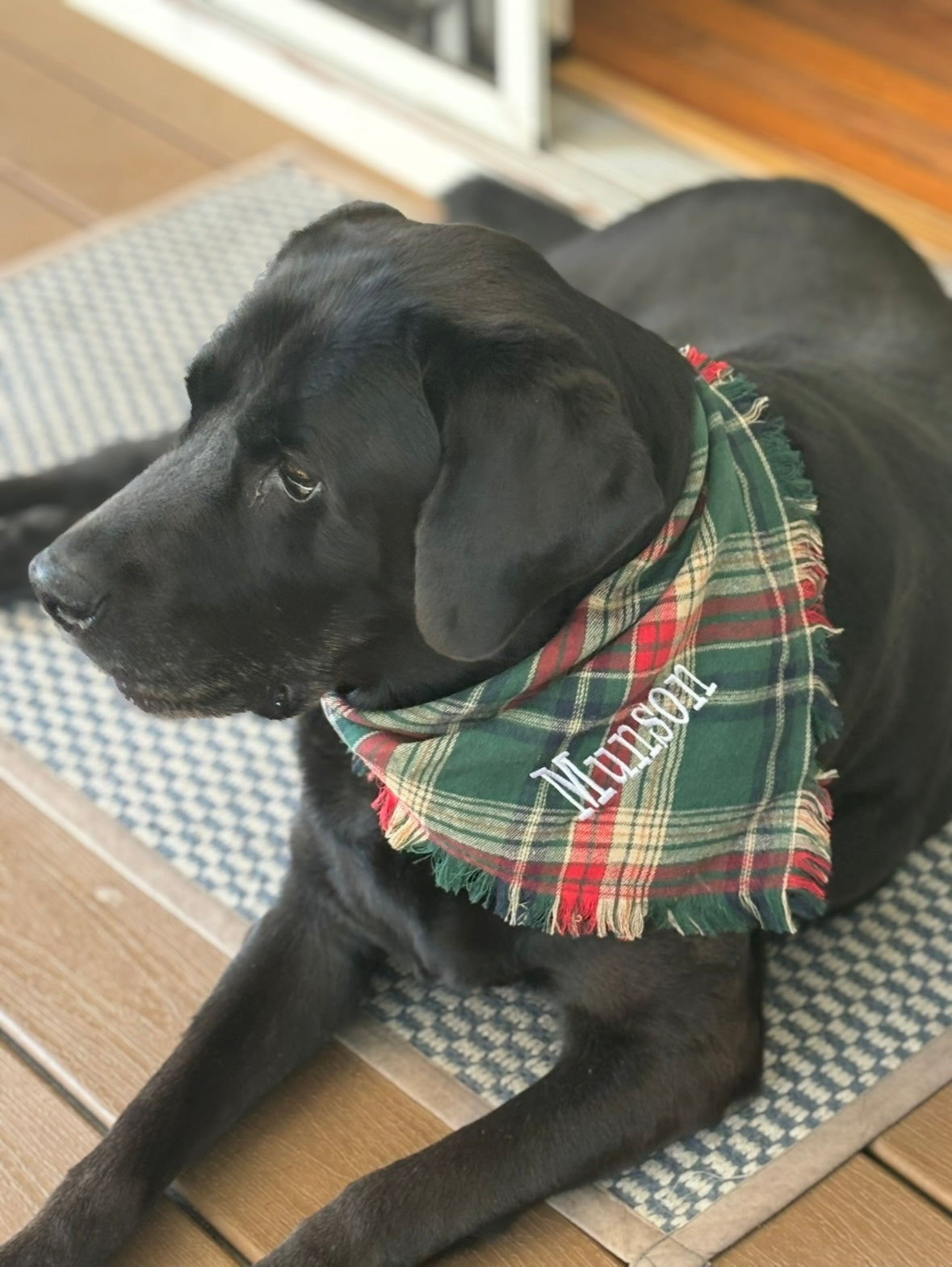 Personalized Soft, Charming Dog Bandanas